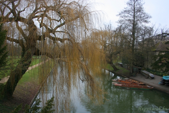 Cambridge, 2011. január