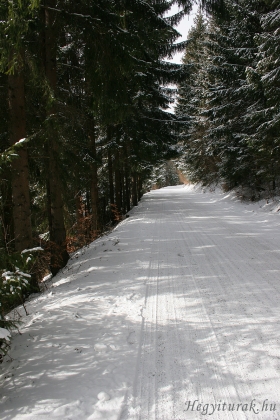 Vajskovká dolina, 2008