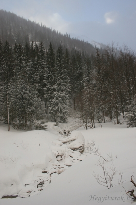 Vajskovká dolina, 2008