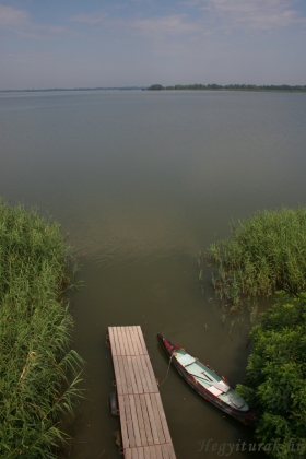 Tisza-tó -Óhalász-szigeten